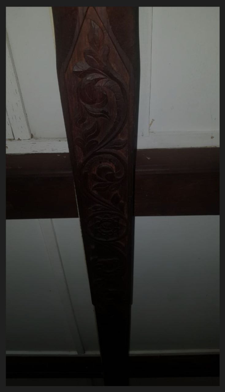 photo_6161306611507902242_y