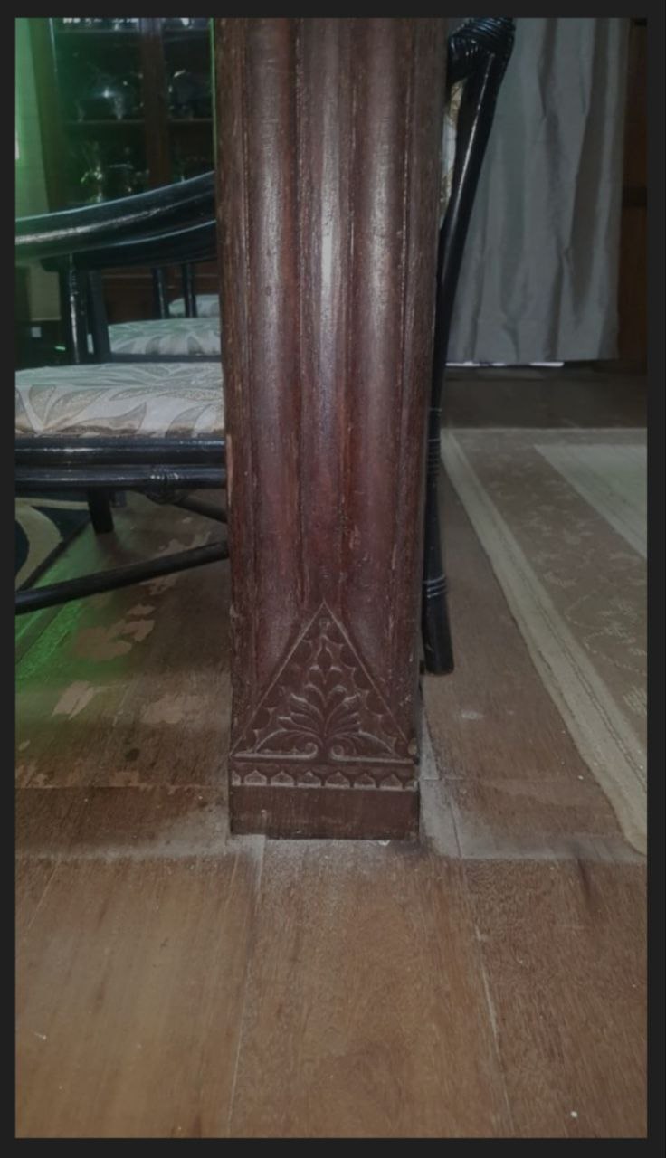 photo_6161306611507902246_y