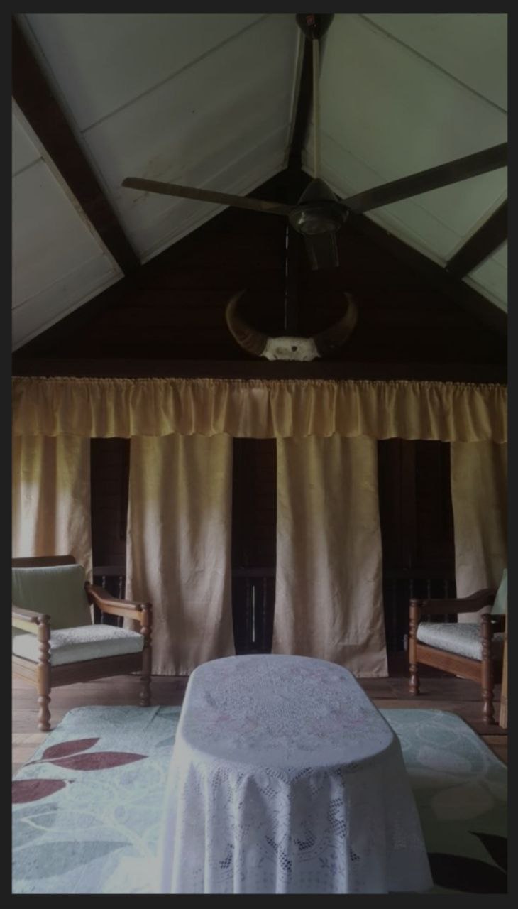 photo_6161306611507902253_y