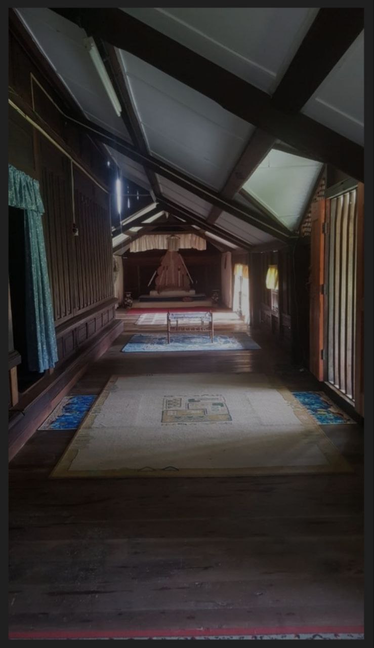 photo_6161306611507902256_y