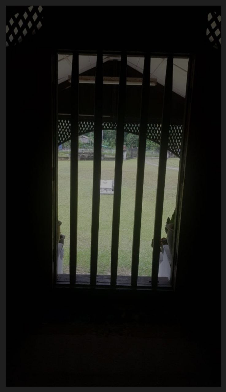 photo_6161306611507902257_y