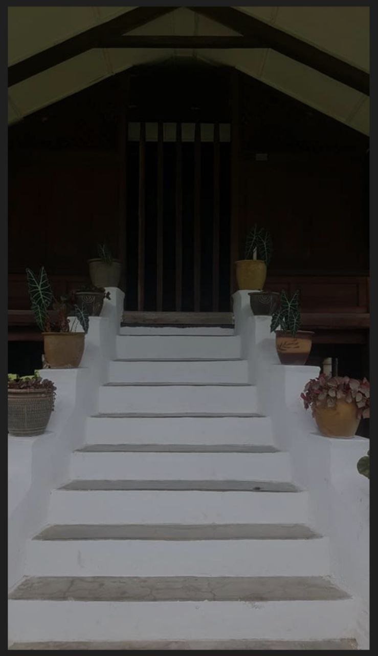 photo_6161306611507902258_y