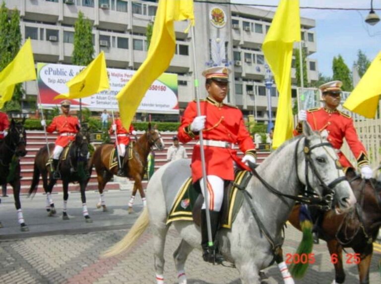 photo_6118502907306424931_y